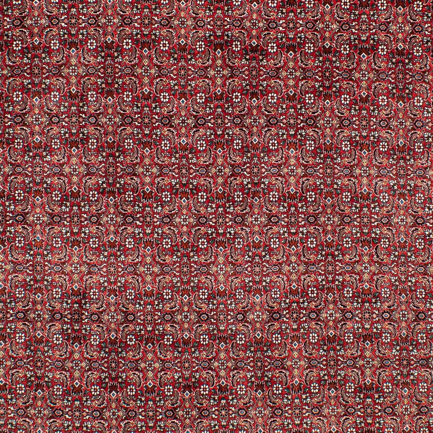 Persisk tæppe - Bijar - 309 x 209 cm - mørkerød