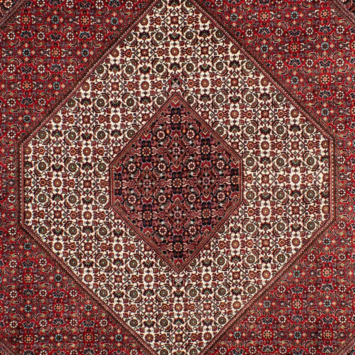 Persisk tæppe - Bijar - 300 x 203 cm - mørkerød