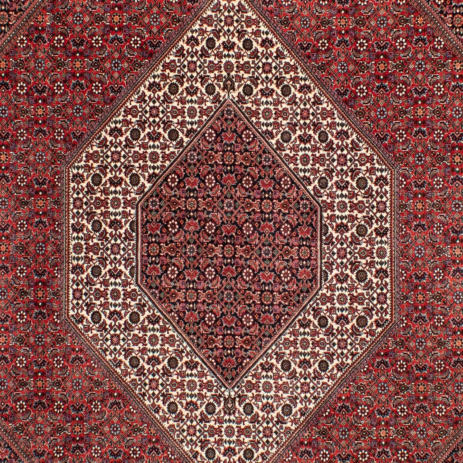 Persisk tæppe - Bijar - 305 x 203 cm - mørkerød