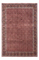 Bidjar - Takab Tæppe 306x204cm - Persisk tæppe