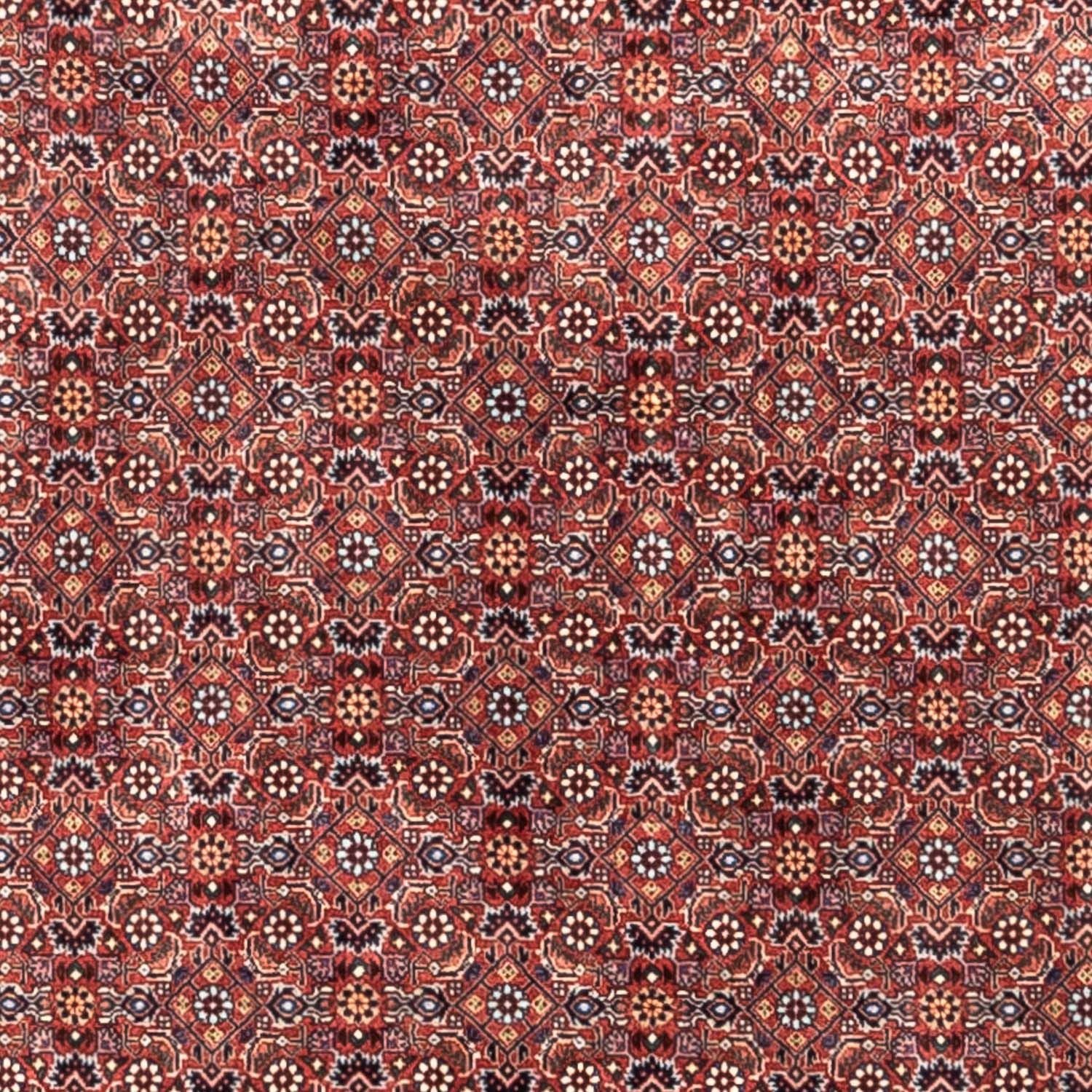 Persisk tæppe - Bijar - Royal - 306 x 204 cm - rød