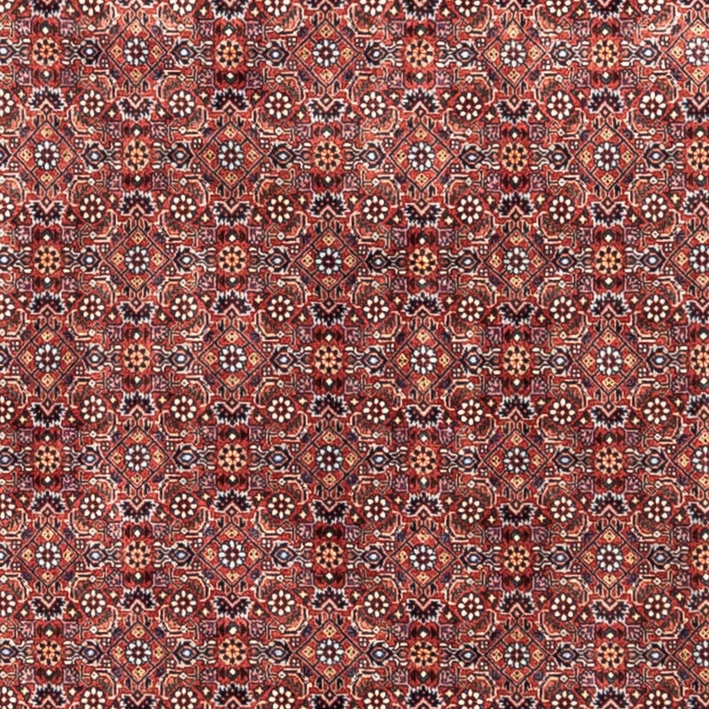 Persisk tæppe - Bijar - Royal - 306 x 204 cm - rød