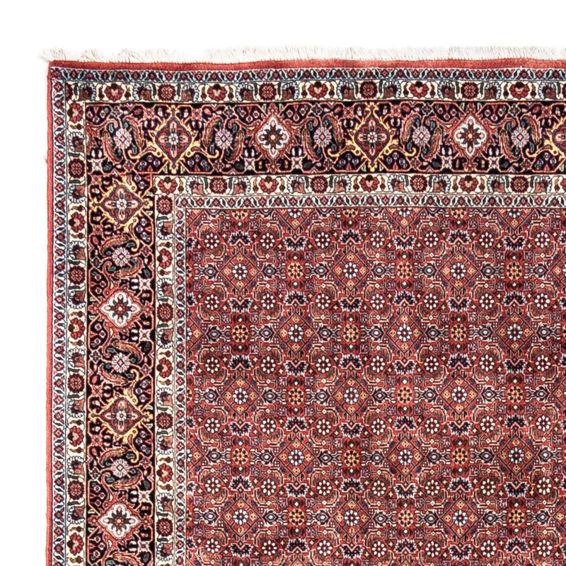 Persisk tæppe - Bijar - Royal - 306 x 204 cm - rød