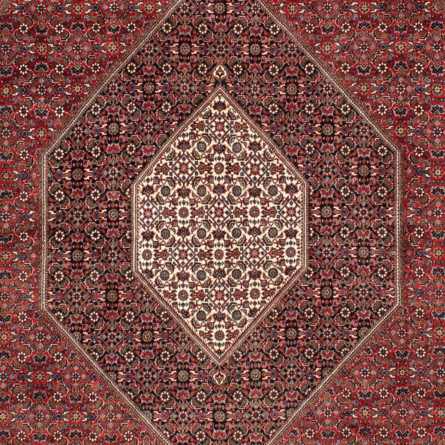Persisk tæppe - Bijar - 309 x 208 cm - mørkerød
