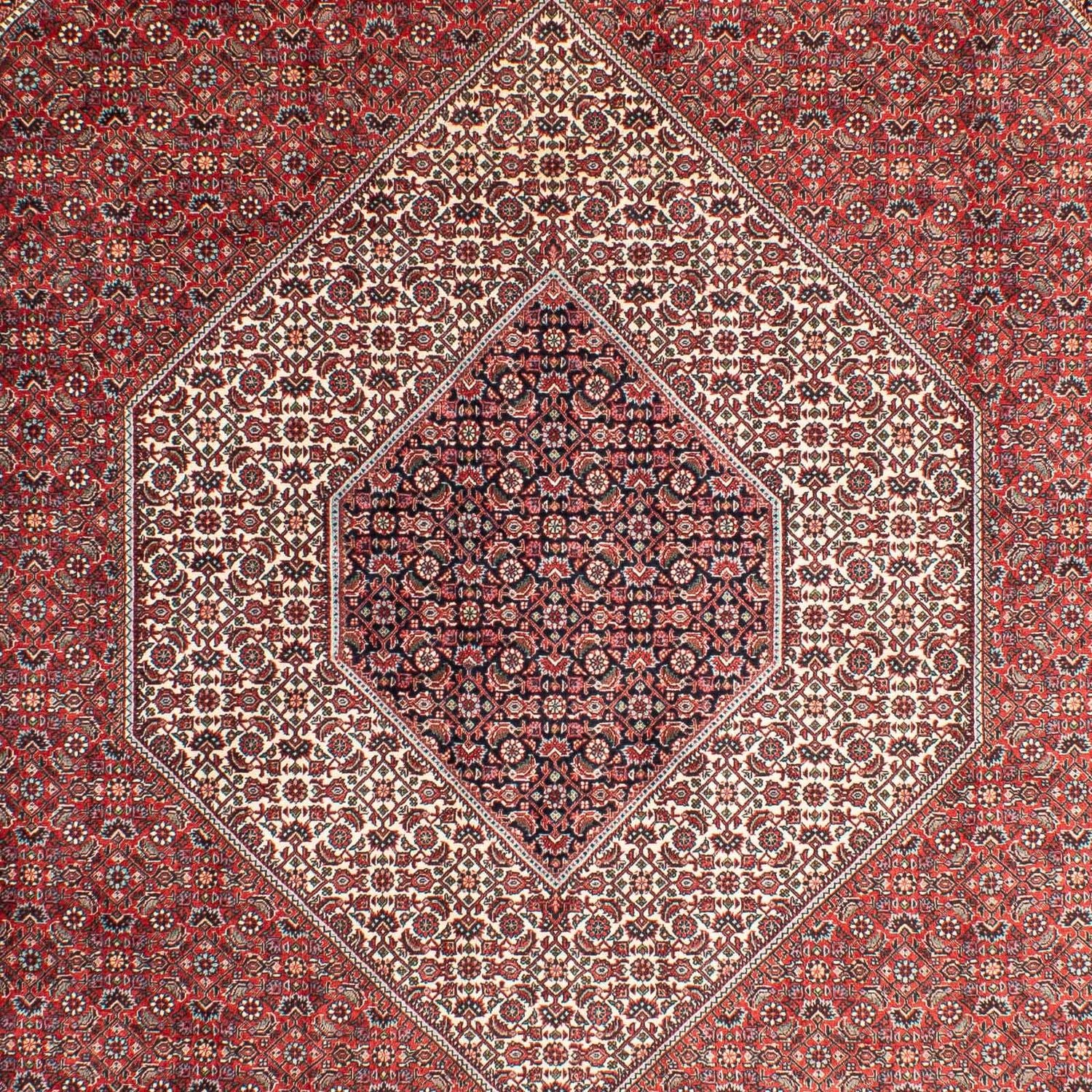 Persisk tæppe - Bijar - 311 x 205 cm - lysrød