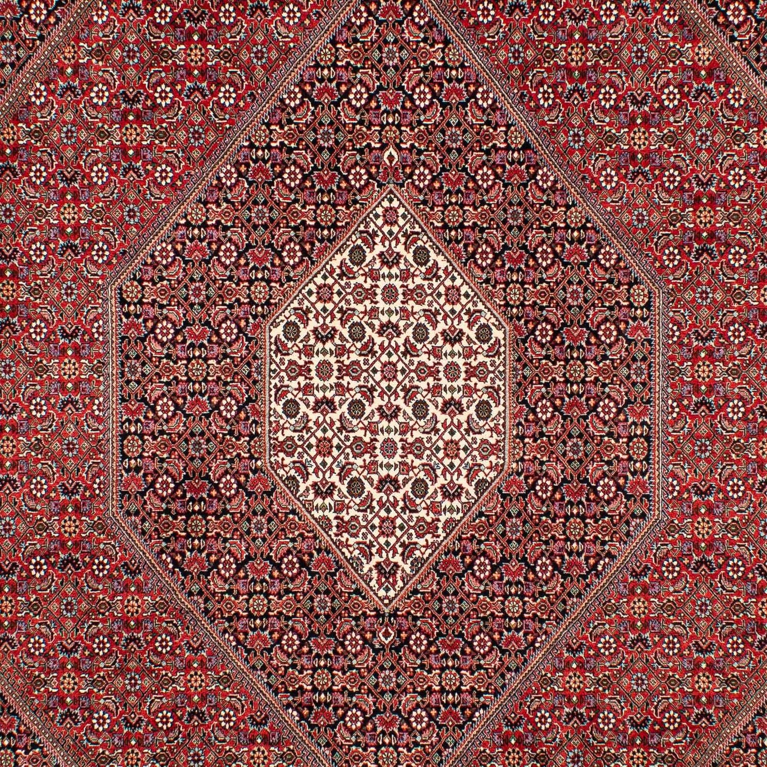 Persisk tæppe - Bijar - 307 x 205 cm - mørkerød
