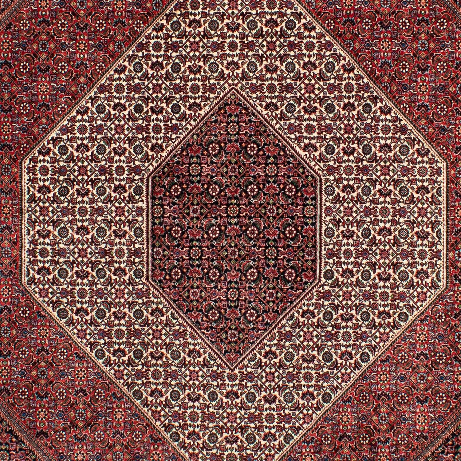Persisk tæppe - Bijar - 300 x 206 cm - mørkerød