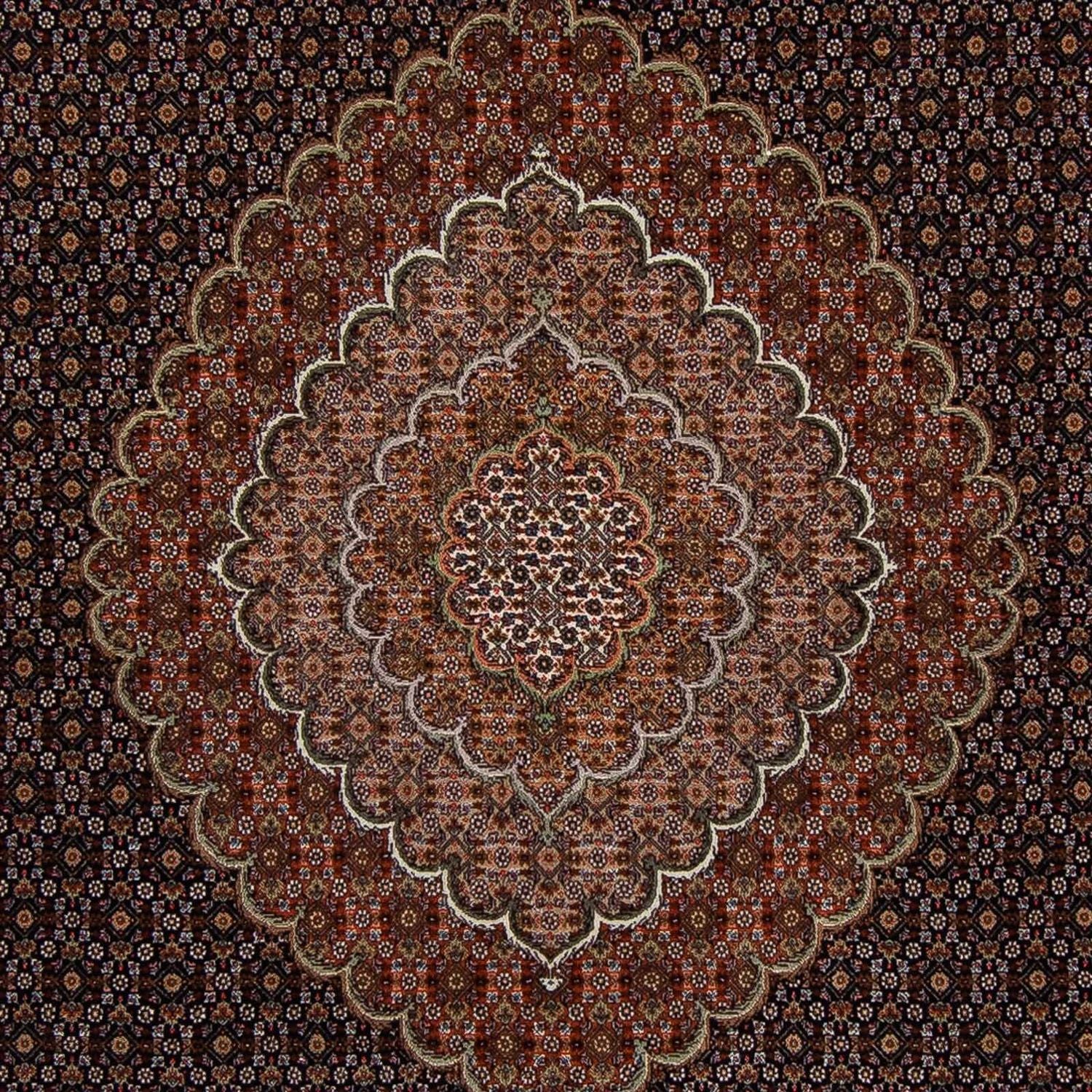 Persisk tæppe - Tabriz - 353 x 255 cm - brun
