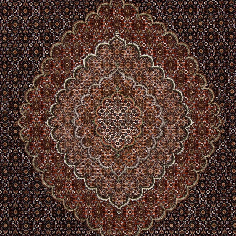 Persisk tæppe - Tabriz - 353 x 255 cm - brun