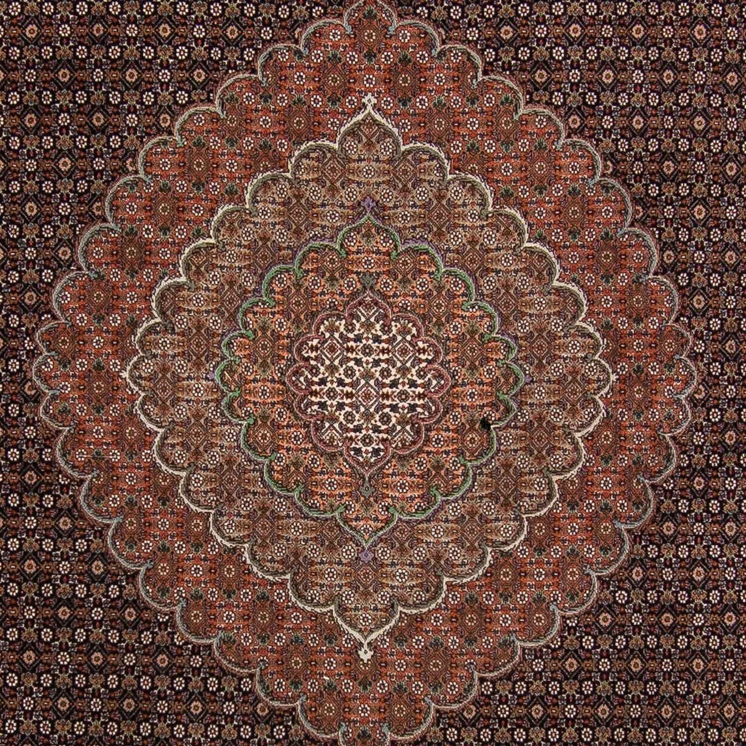 Persisk tæppe - Tabriz - 370 x 256 cm - brun
