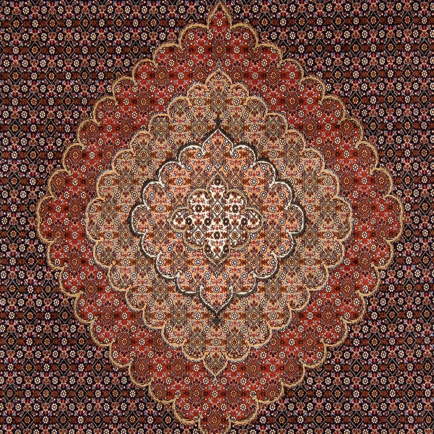 Persisk tæppe - Tabriz - 370 x 250 cm - brun
