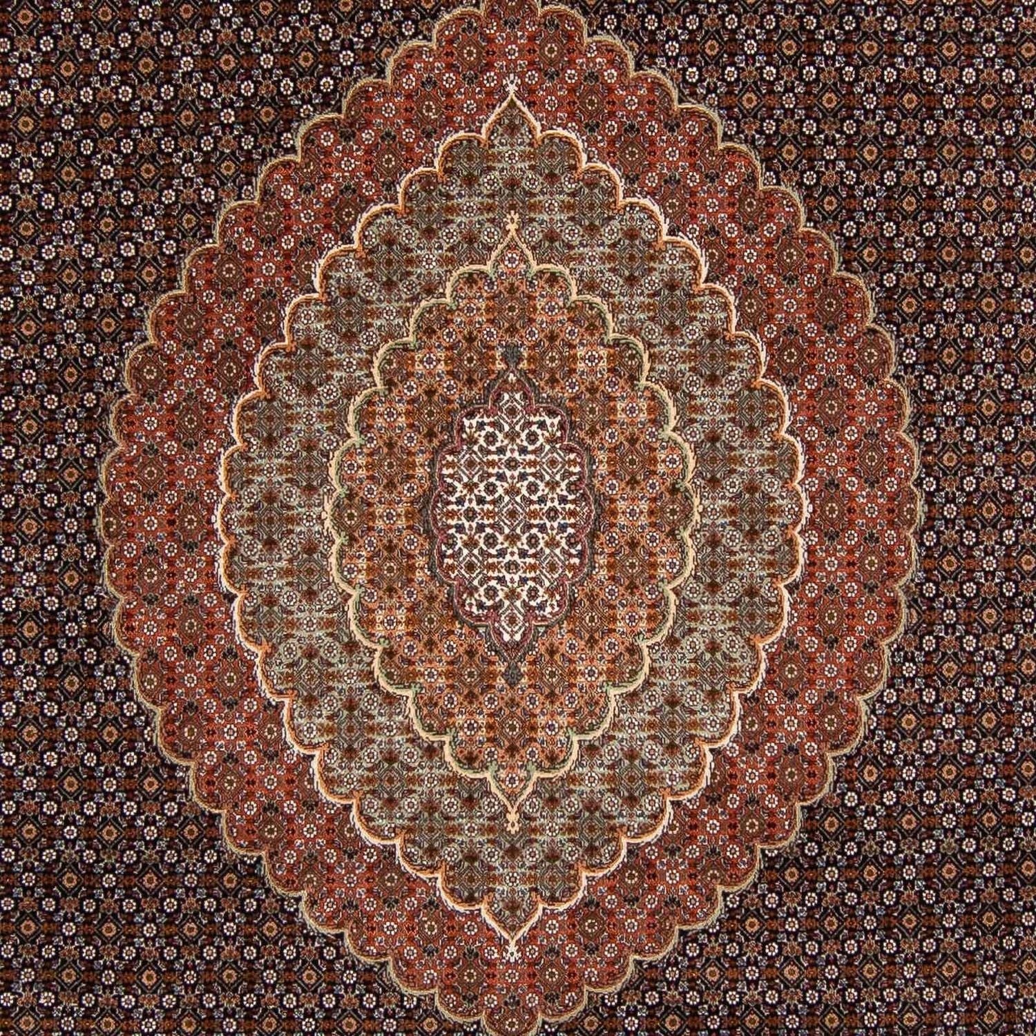 Persisk tæppe - Tabriz - 345 x 252 cm - brun