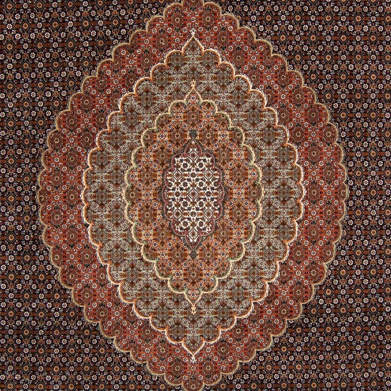 Persisk tæppe - Tabriz - 345 x 252 cm - brun