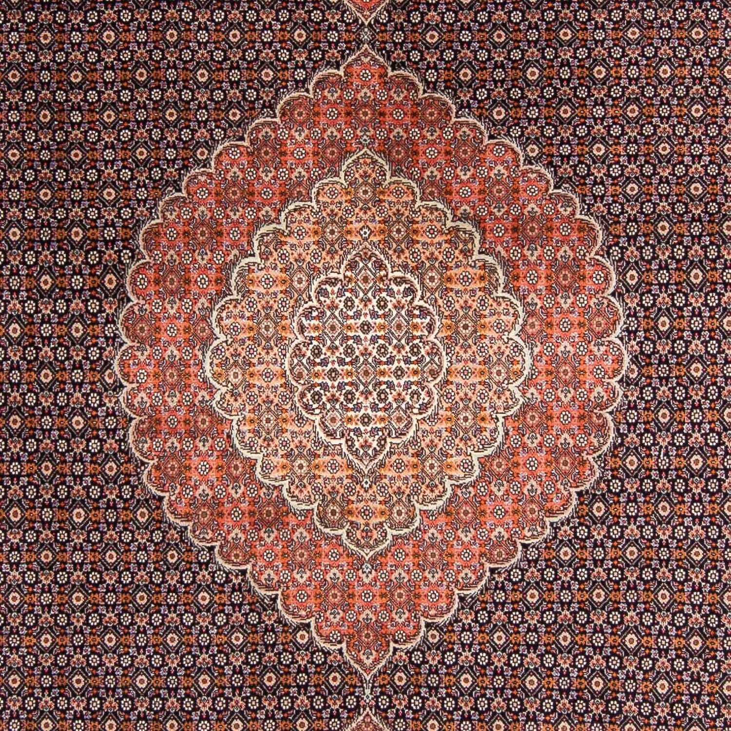 Persisk tæppe - Tabriz - 295 x 203 cm - mørkeblå