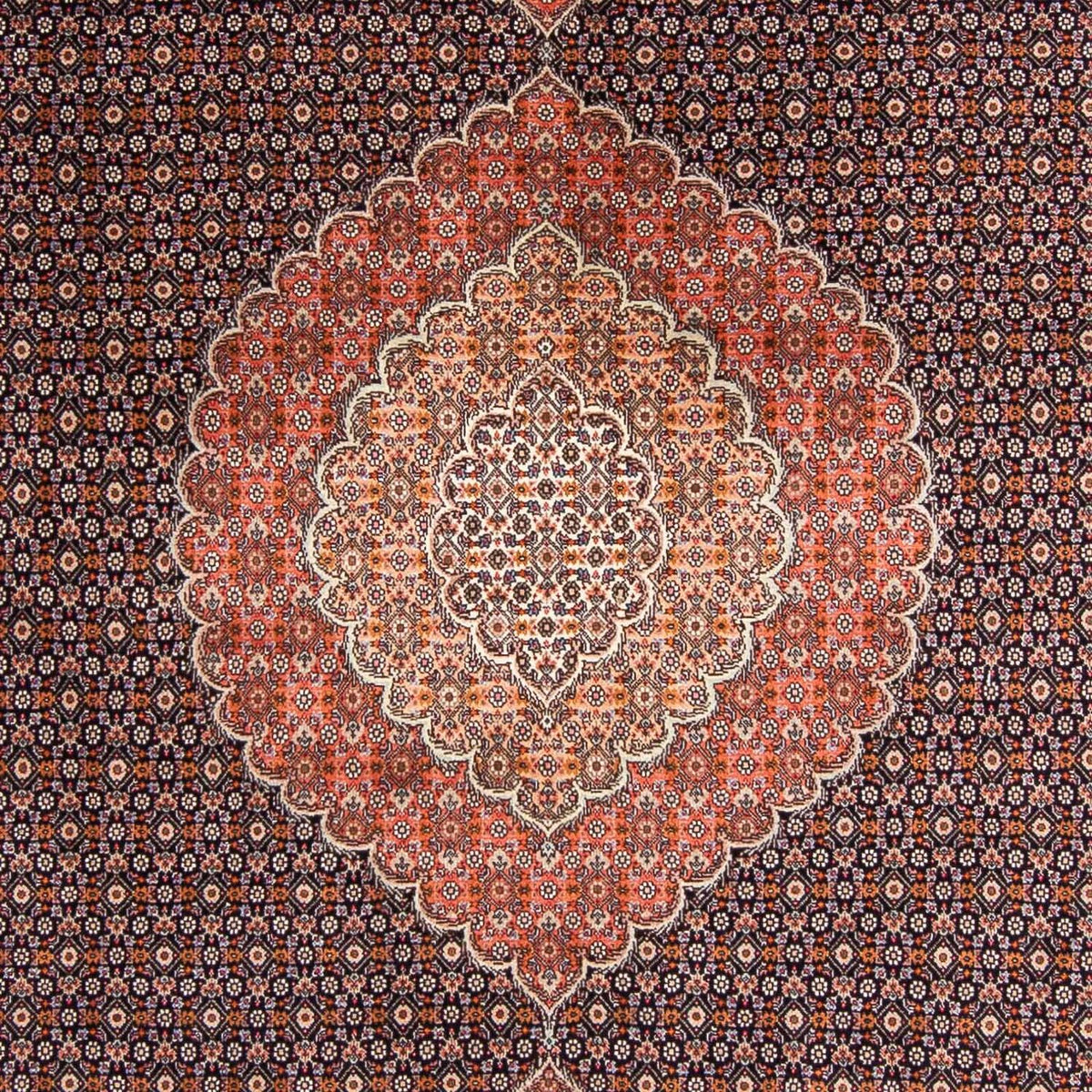 Persisk tæppe - Tabriz - 295 x 203 cm - mørkeblå