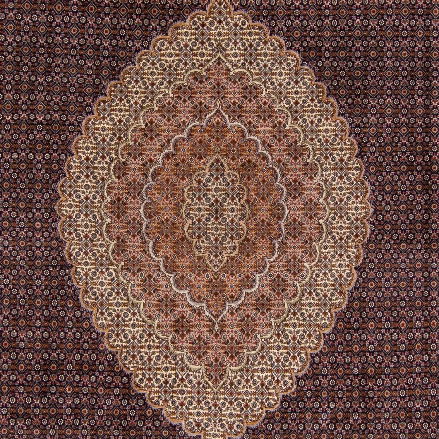 Persisk tæppe - Tabriz - 338 x 248 cm - lys brun