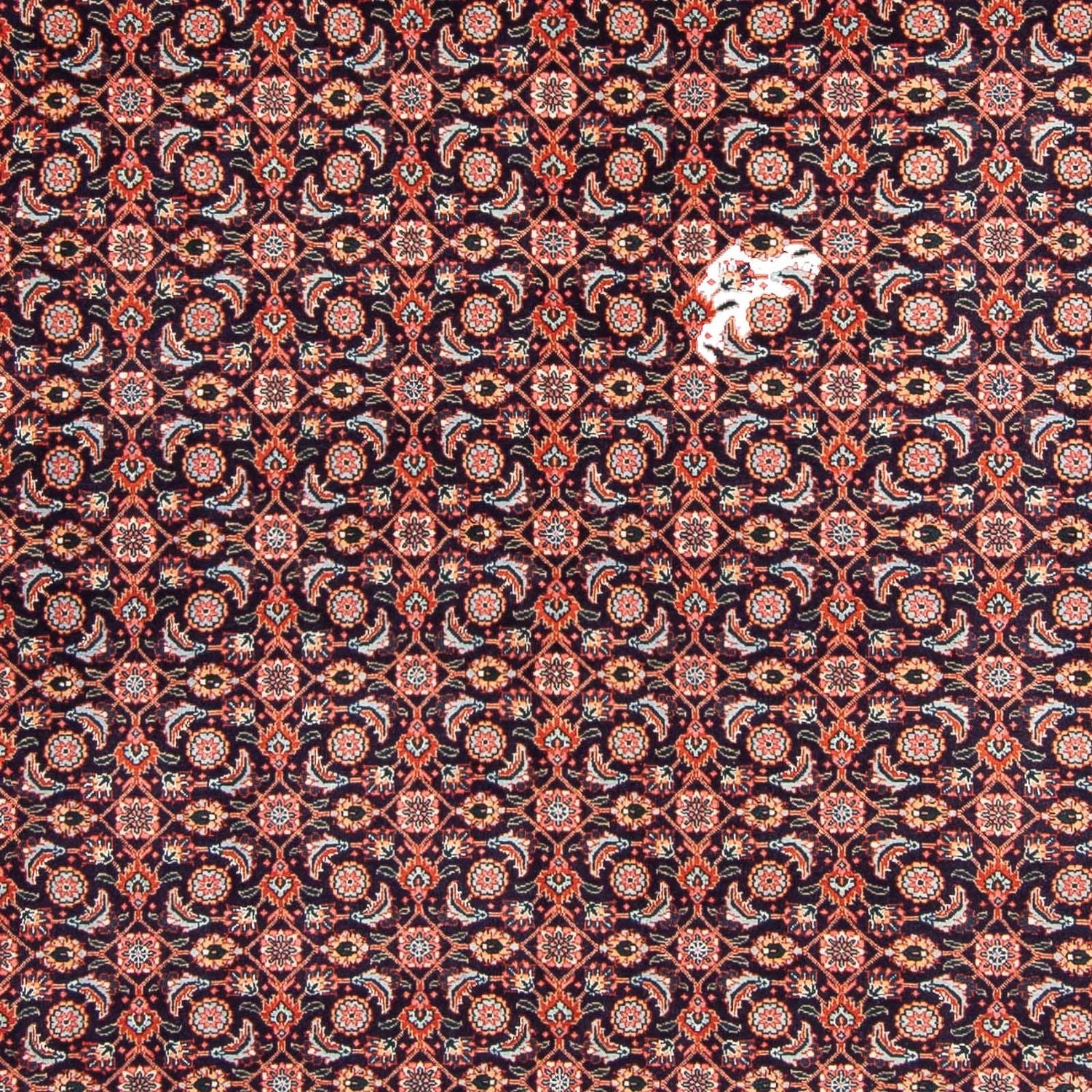 Persisk tæppe - Tabriz - 295 x 202 cm - mørkeblå