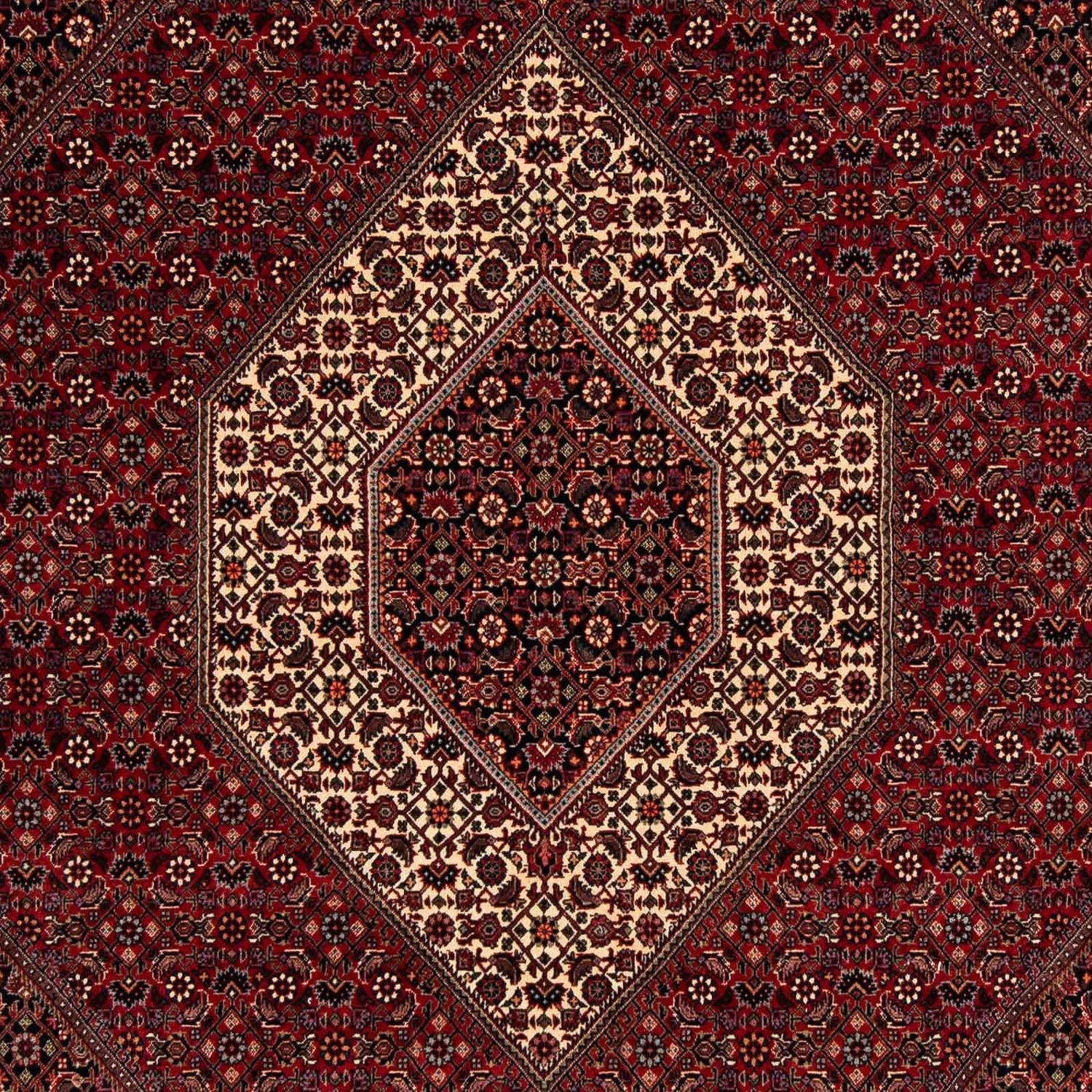 Persisk tæppe - Bijar - 247 x 202 cm - mørkerød