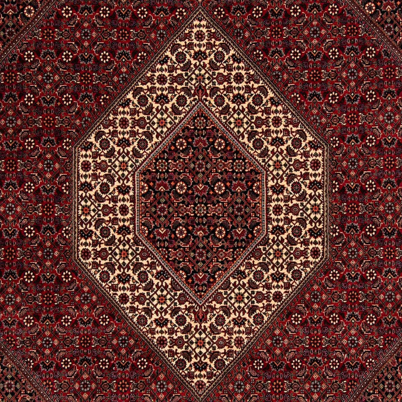 Persisk tæppe - Bijar - 247 x 202 cm - mørkerød