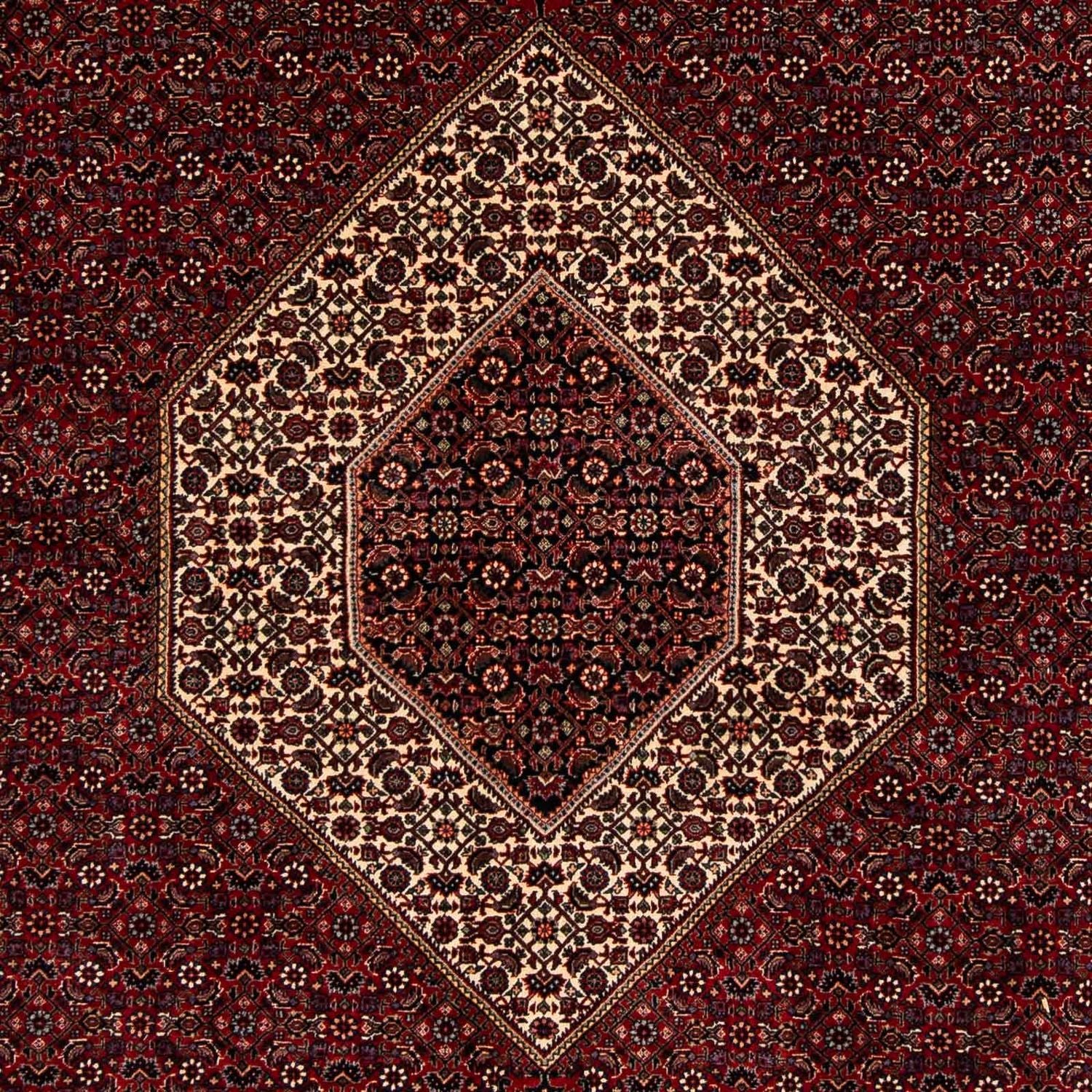 Persisk tæppe - Bijar - 257 x 204 cm - mørkerød