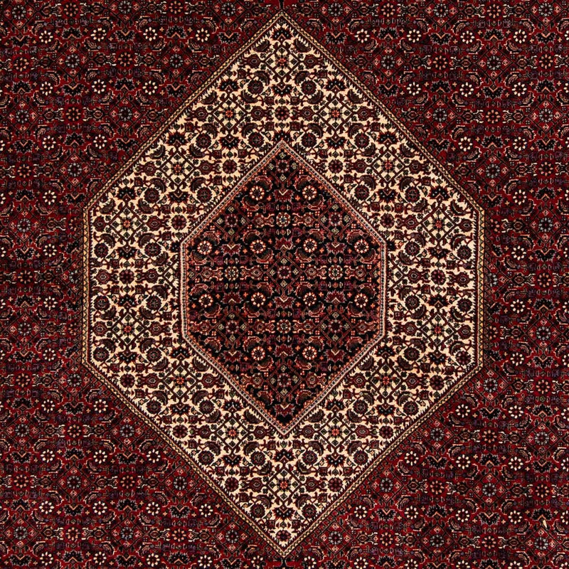 Persisk tæppe - Bijar - 257 x 204 cm - mørkerød