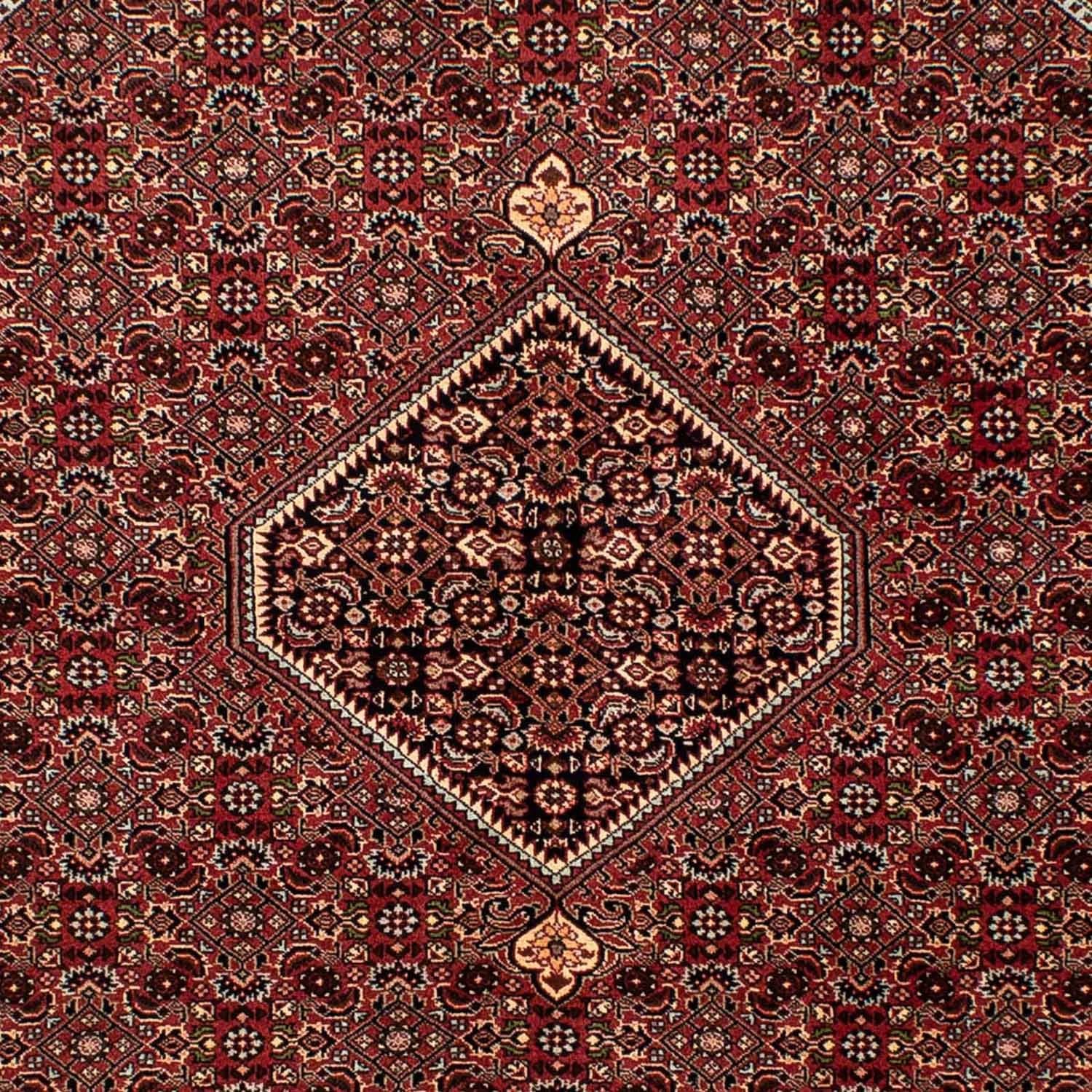 Persisk tæppe - Bijar - 242 x 170 cm - brun