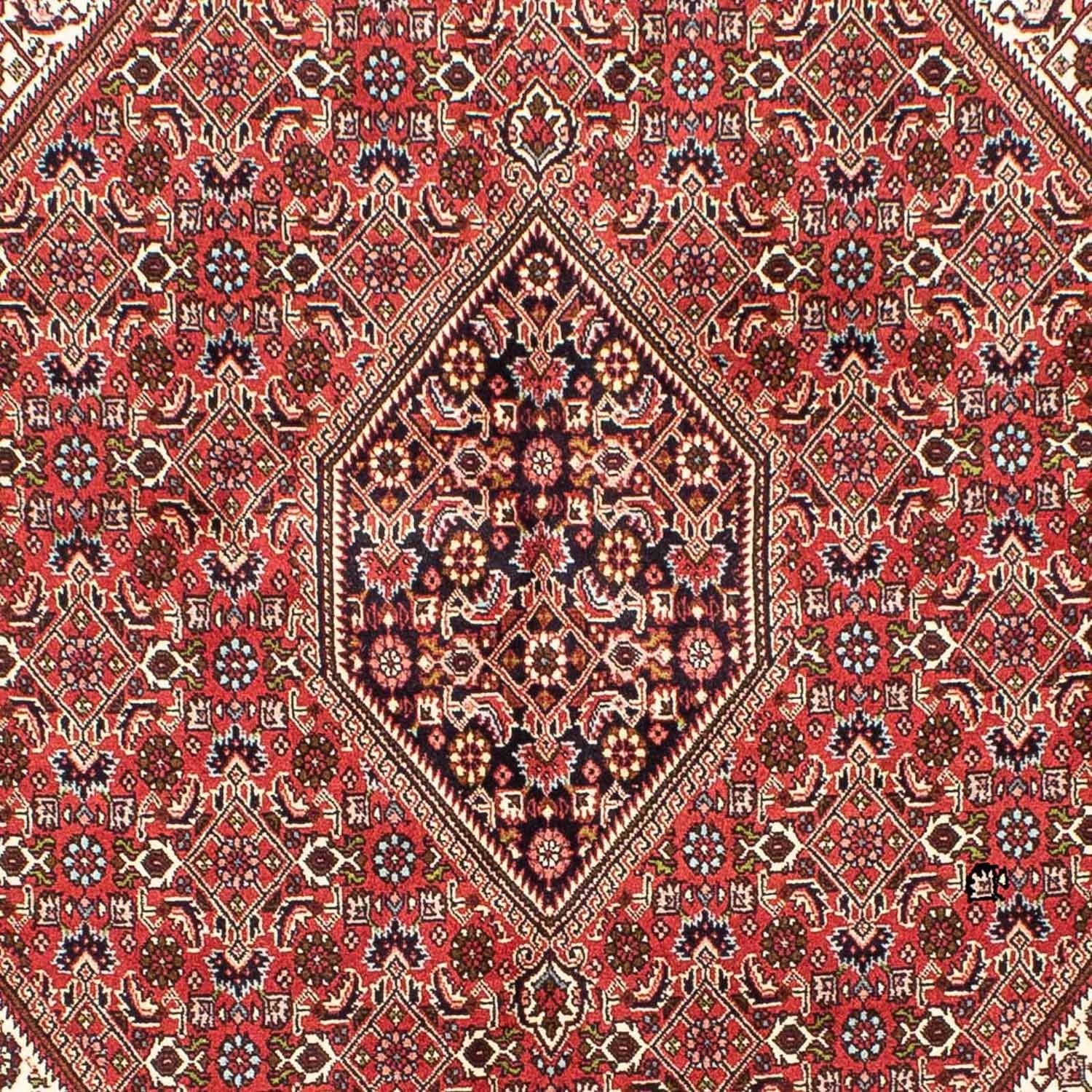 Persisk tæppe - Bijar - 245 x 172 cm - lysrød