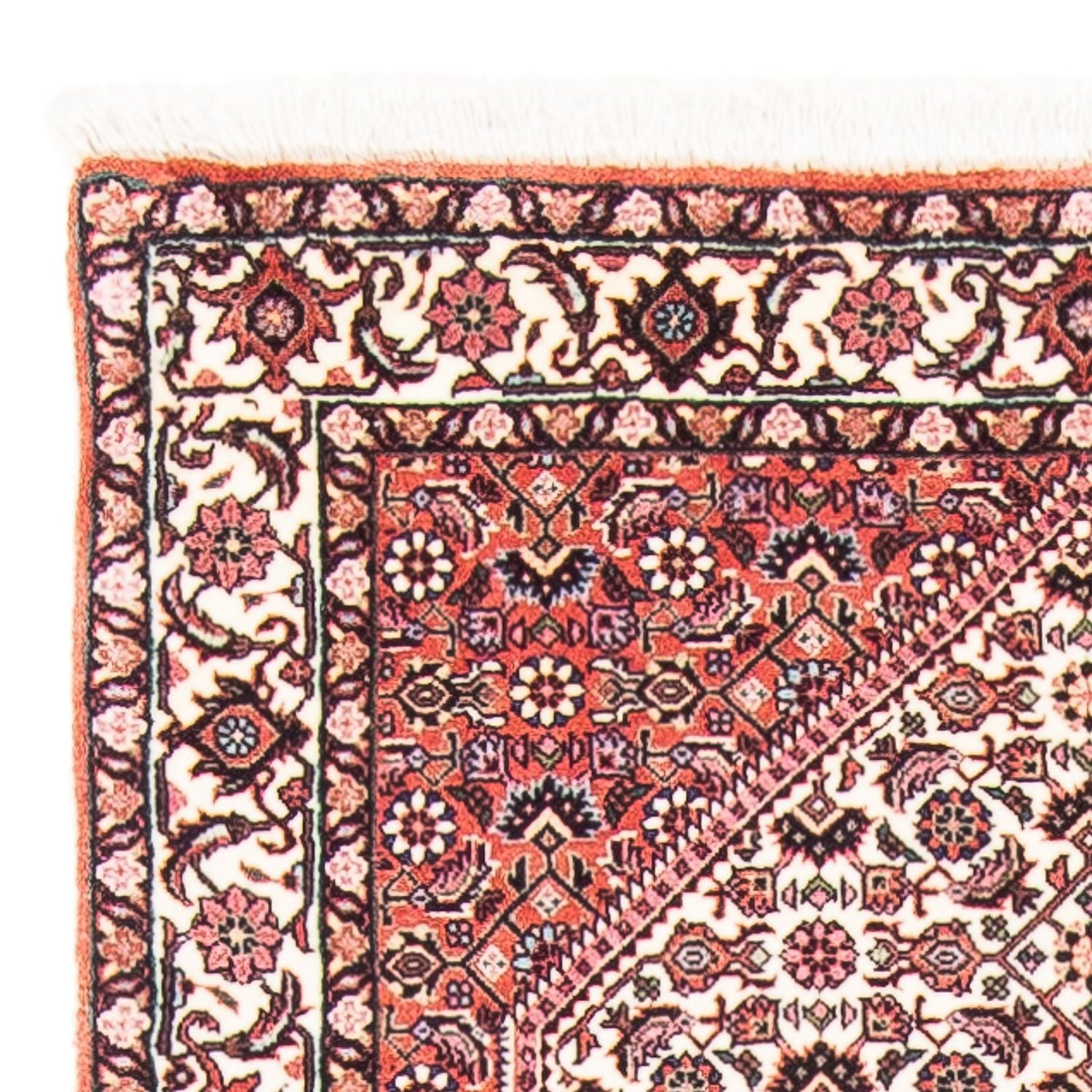 Persisk tæppe - Bijar - 151 x 79 cm - beige