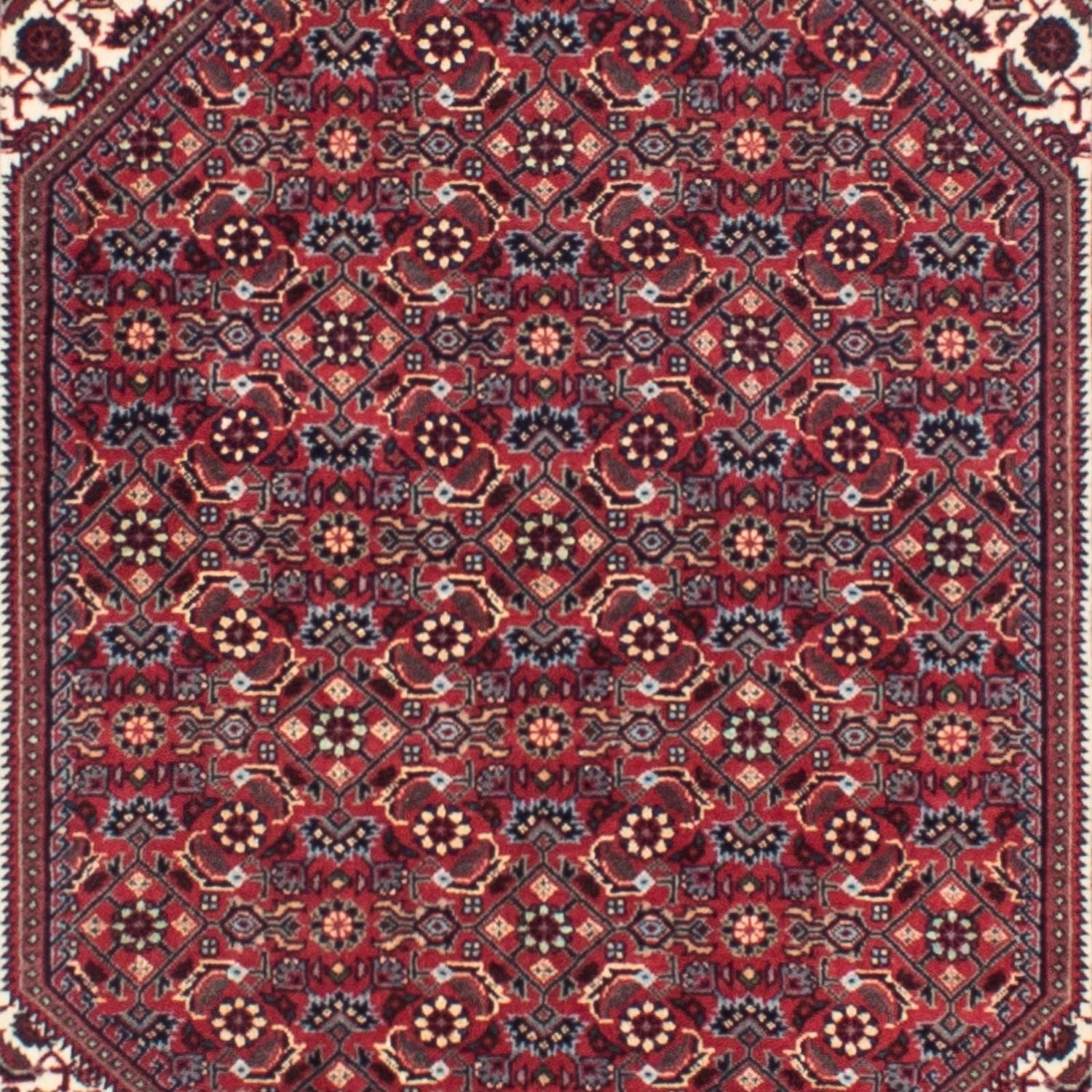 Løber Persisk tæppe - Bijar - 313 x 83 cm - mørkerød