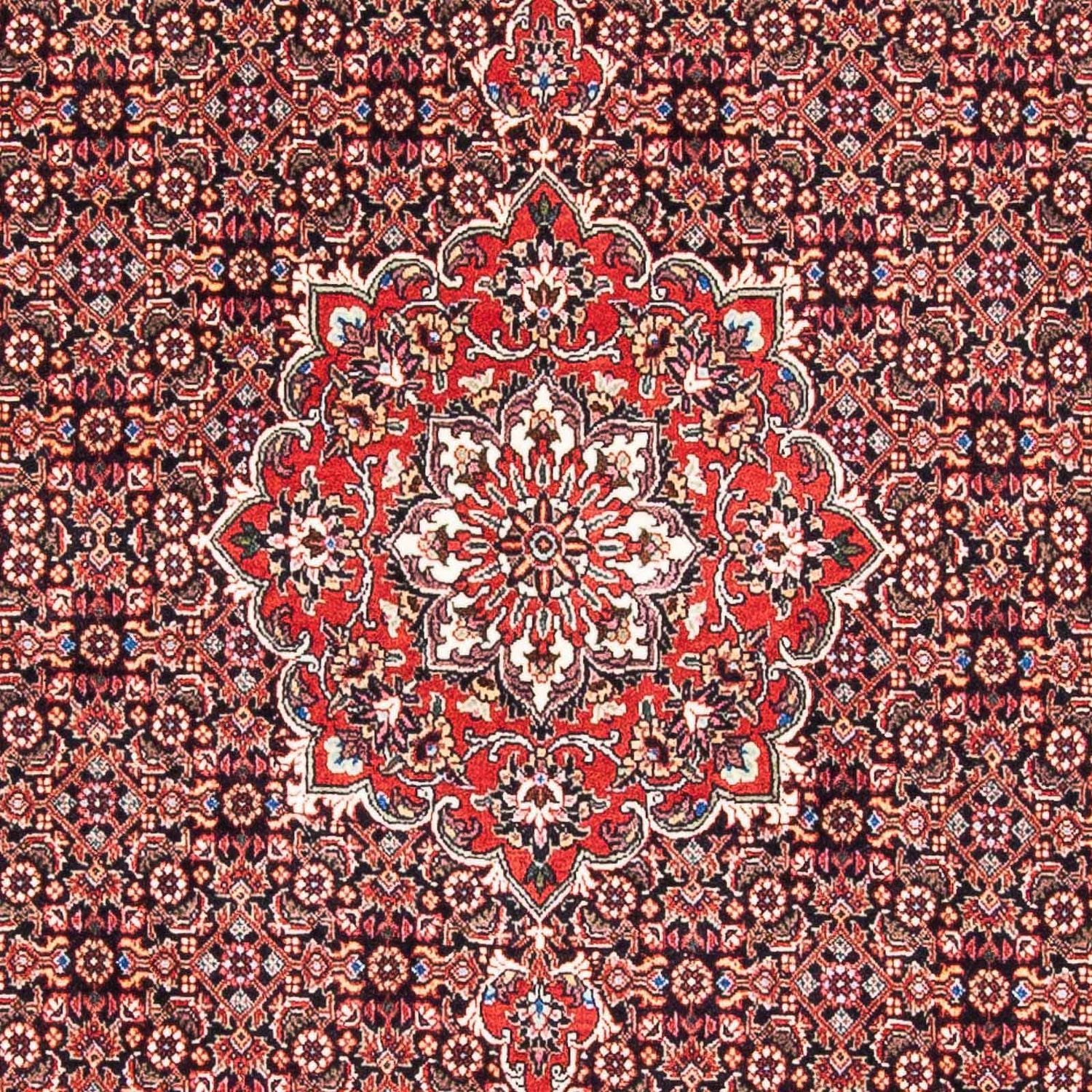 Persisk tæppe - Bijar - 170 x 109 cm - rød