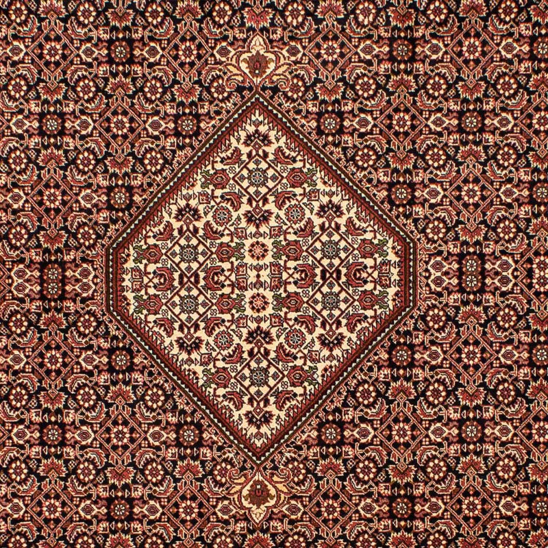 Persisk tæppe - Bijar - 296 x 198 cm - brun