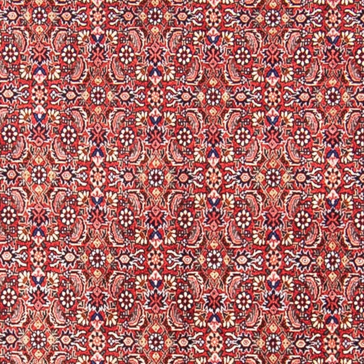 Persisk tæppe - Bijar - 307 x 248 cm - lysrød