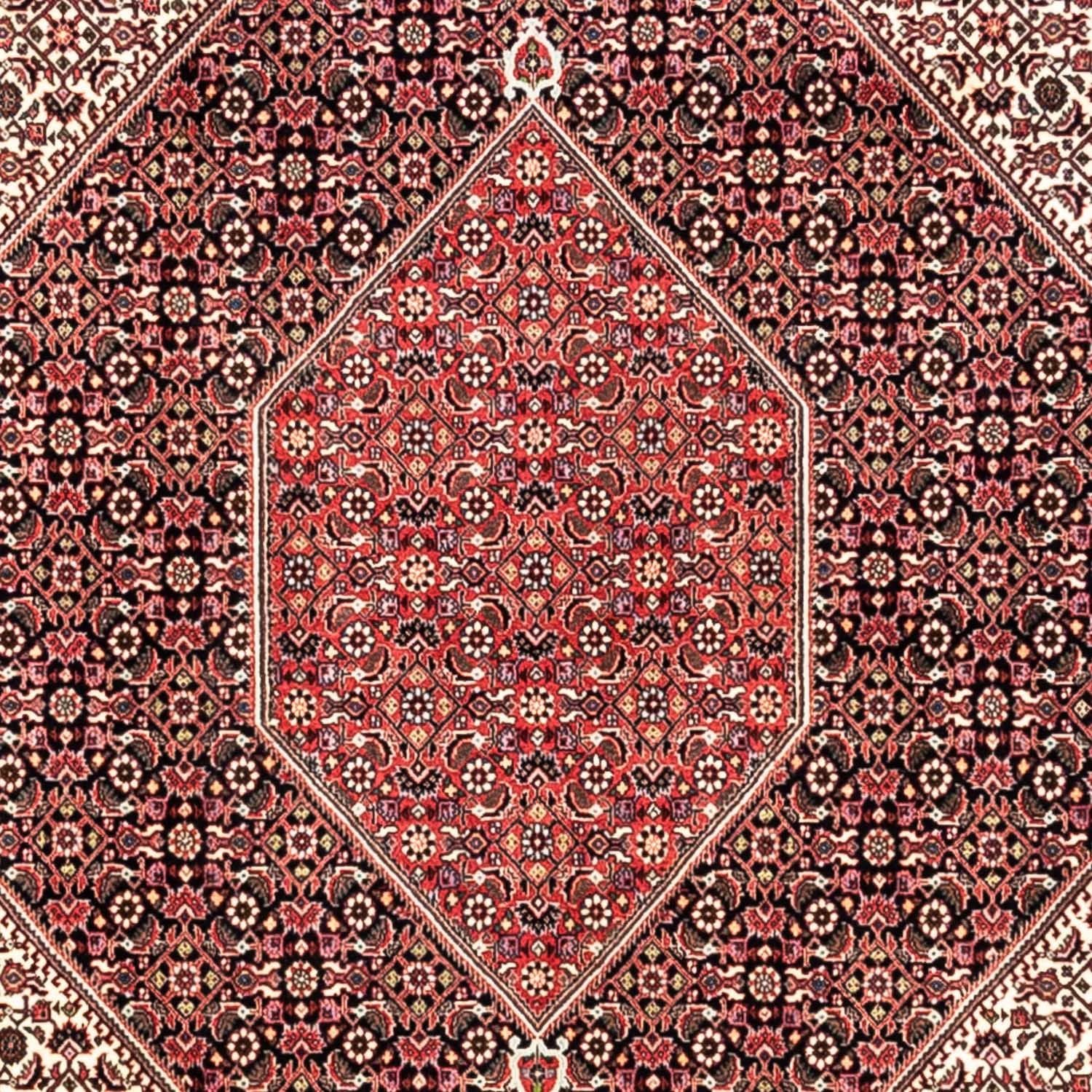 Persisk tæppe - Bijar - Royal - 349 x 252 cm - rød