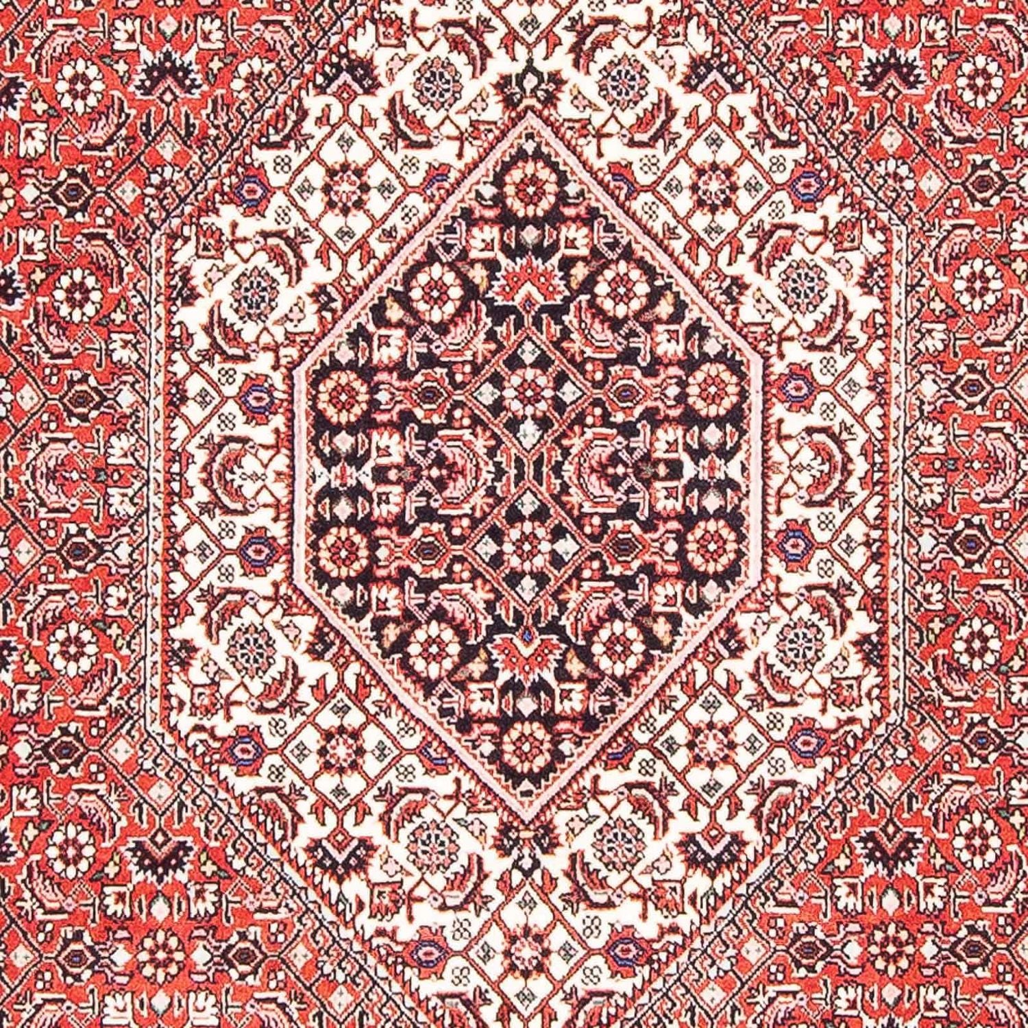 Persisk tæppe - Bijar - 176 x 112 cm - rød