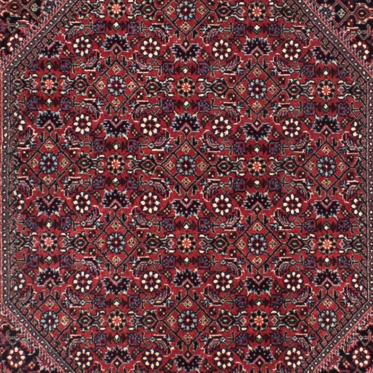 Løber Persisk tæppe - Bijar - 313 x 84 cm - mørkeblå