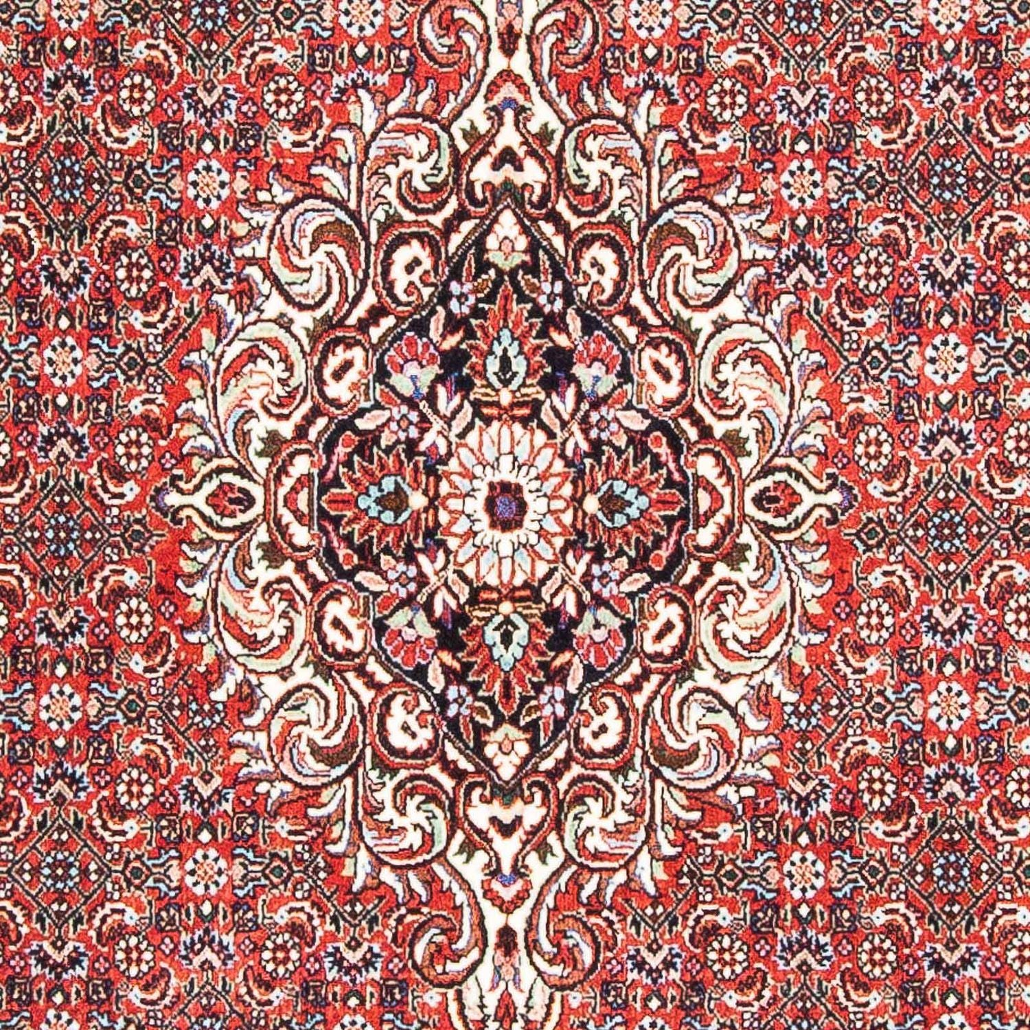 Persisk tæppe - Bijar - 169 x 112 cm - rød