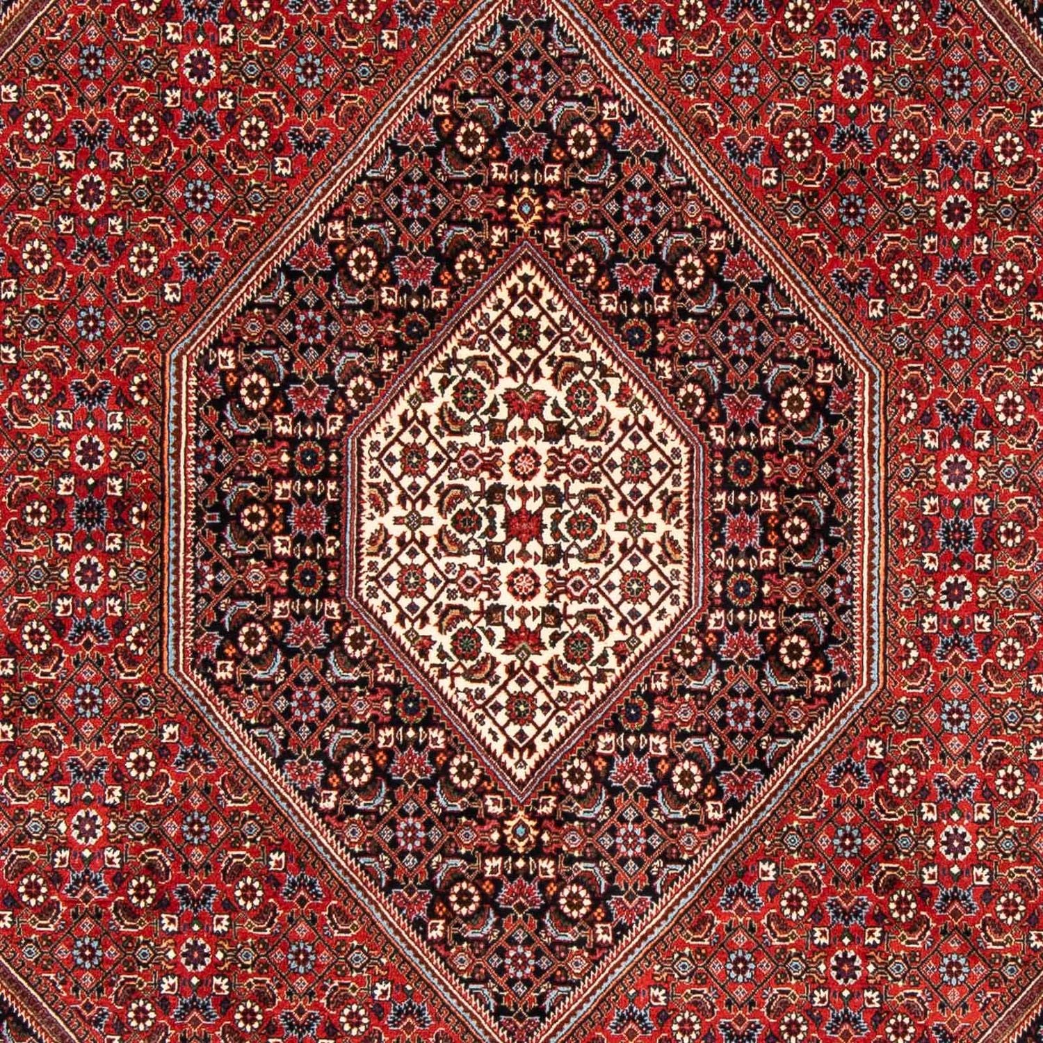 Persisk tæppe - Bijar - 246 x 170 cm - rust