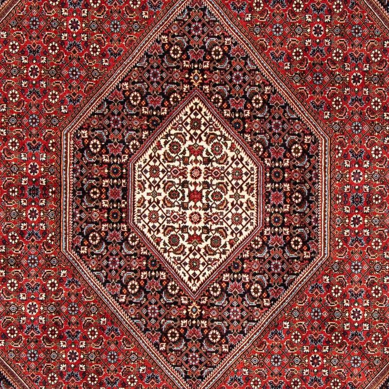 Persisk tæppe - Bijar - 246 x 170 cm - rust