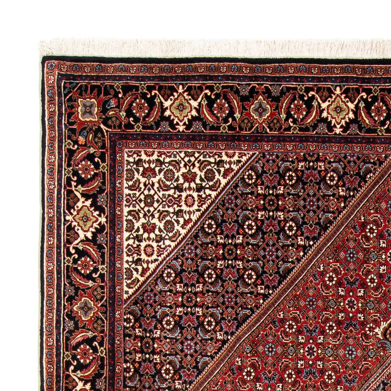 Persisk tæppe - Bijar - 246 x 170 cm - rust