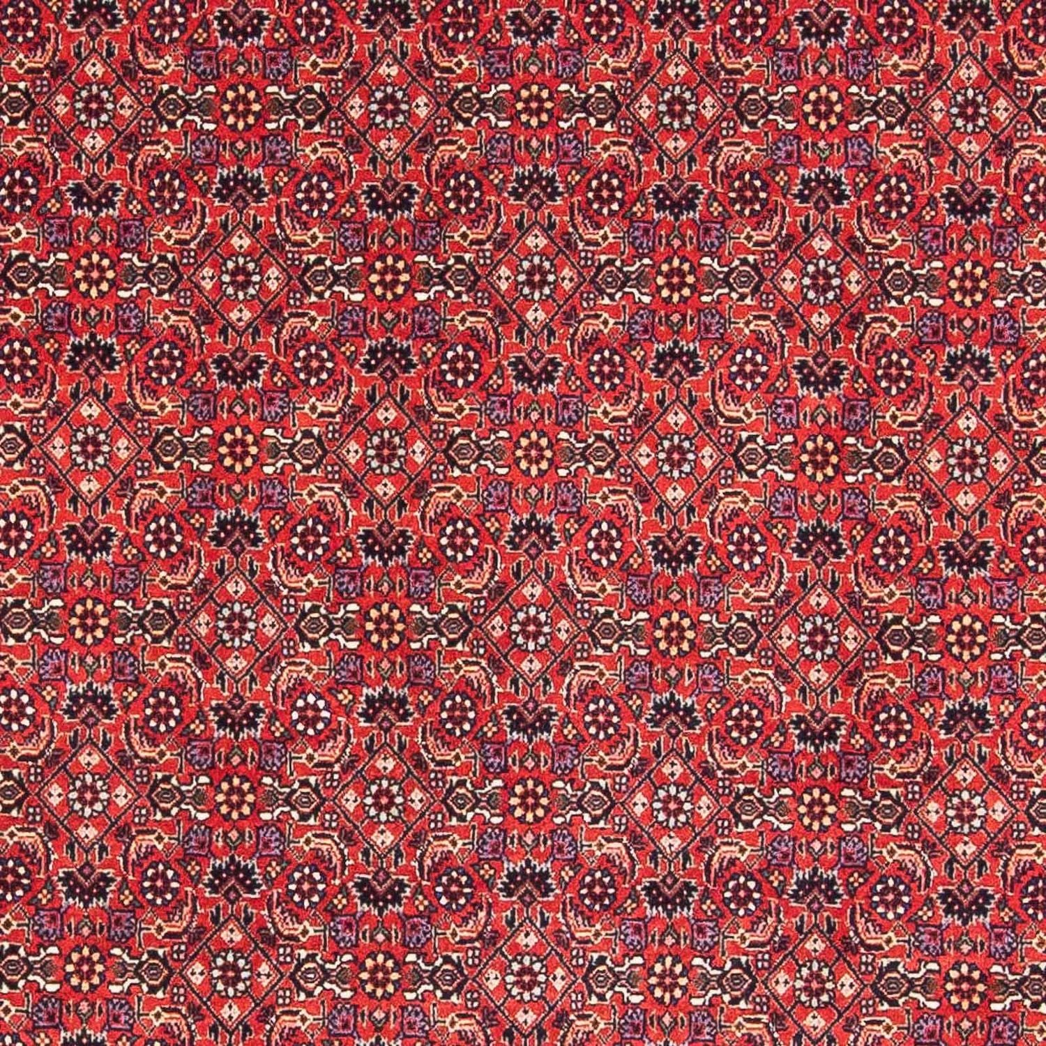 Persisk tæppe - Bijar firkantet  - 126 x 124 cm - rød