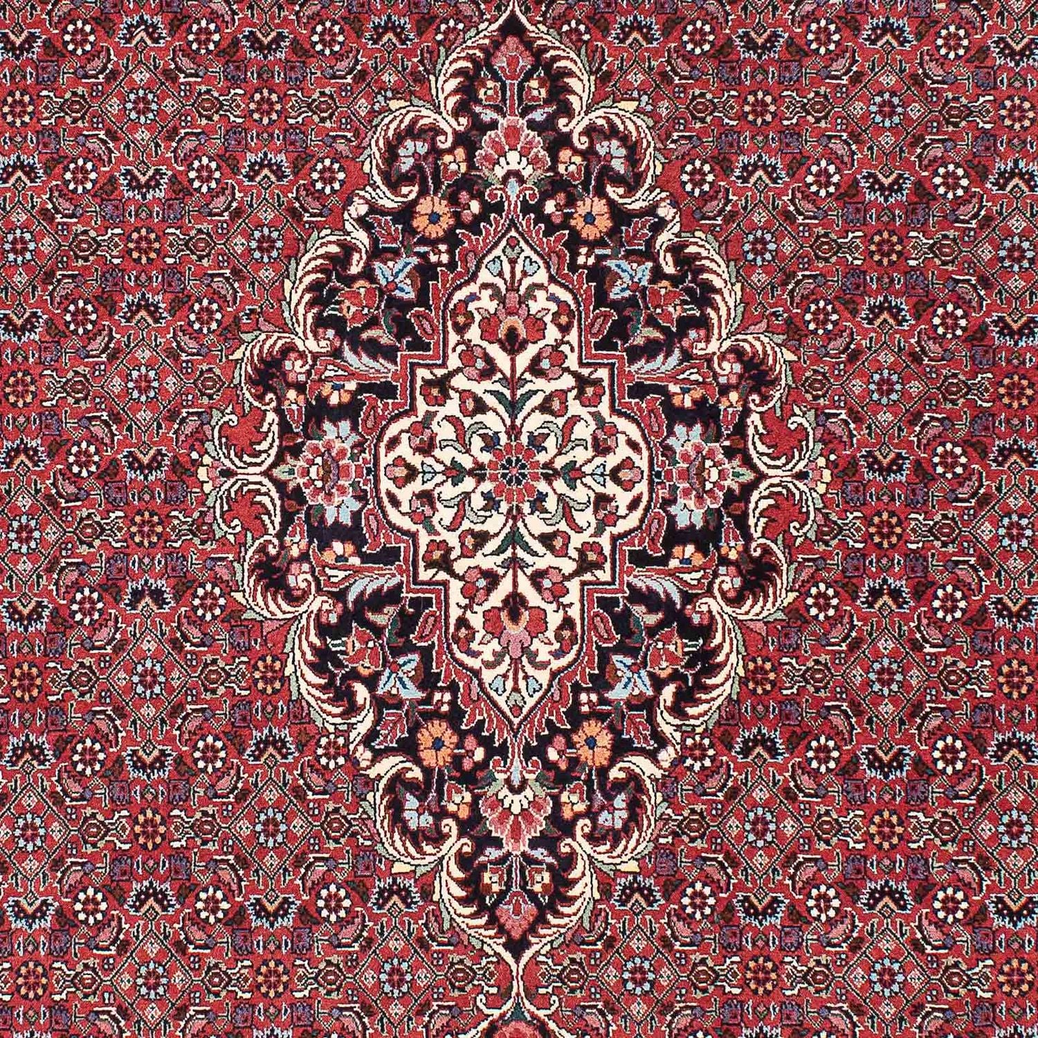 Persisk tæppe - Bijar - 220 x 153 cm - rød