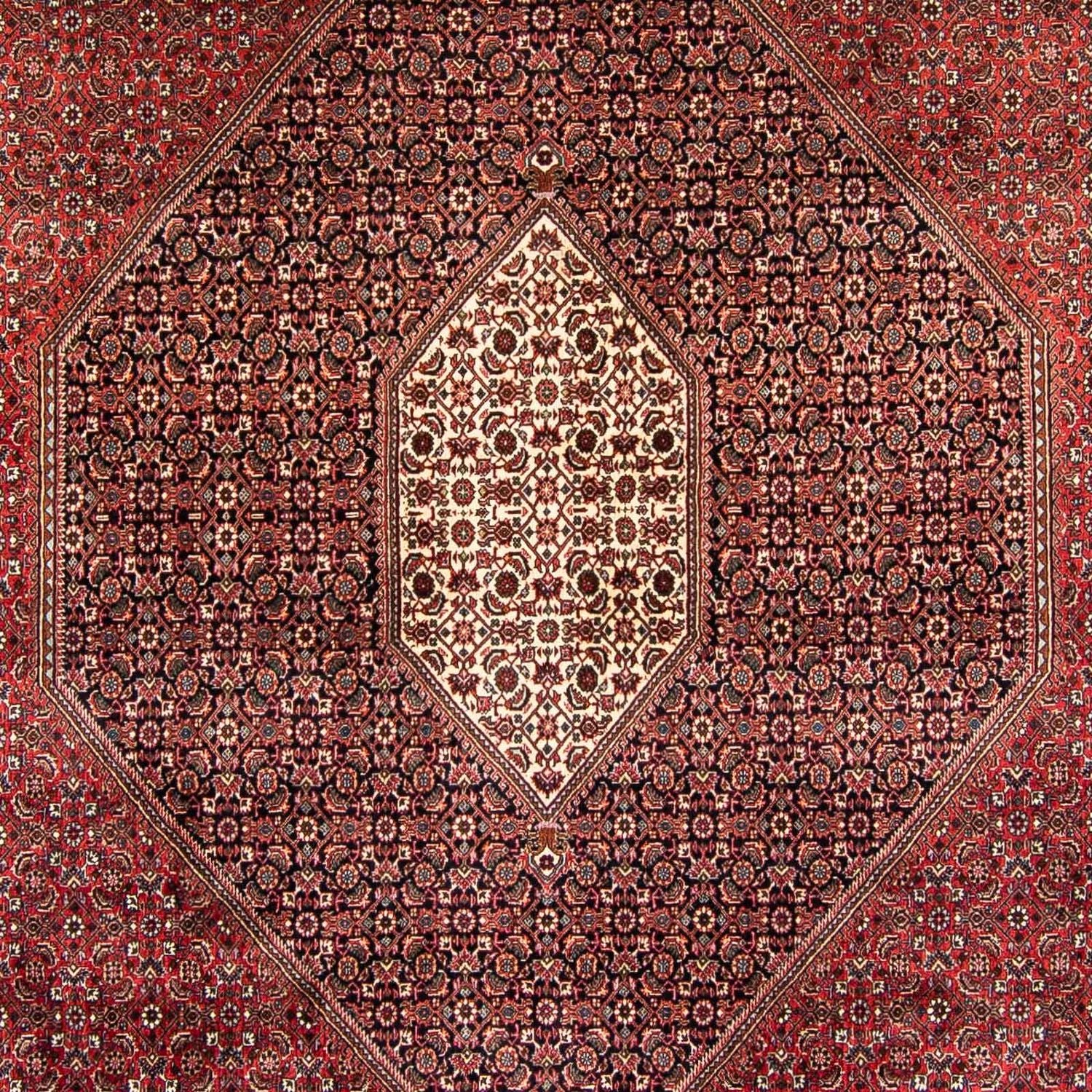 Persisk tæppe - Bijar - 382 x 249 cm - mørkerød