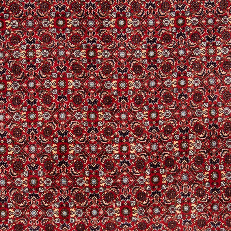 Persisk tæppe - Bijar - 251 x 175 cm - rød
