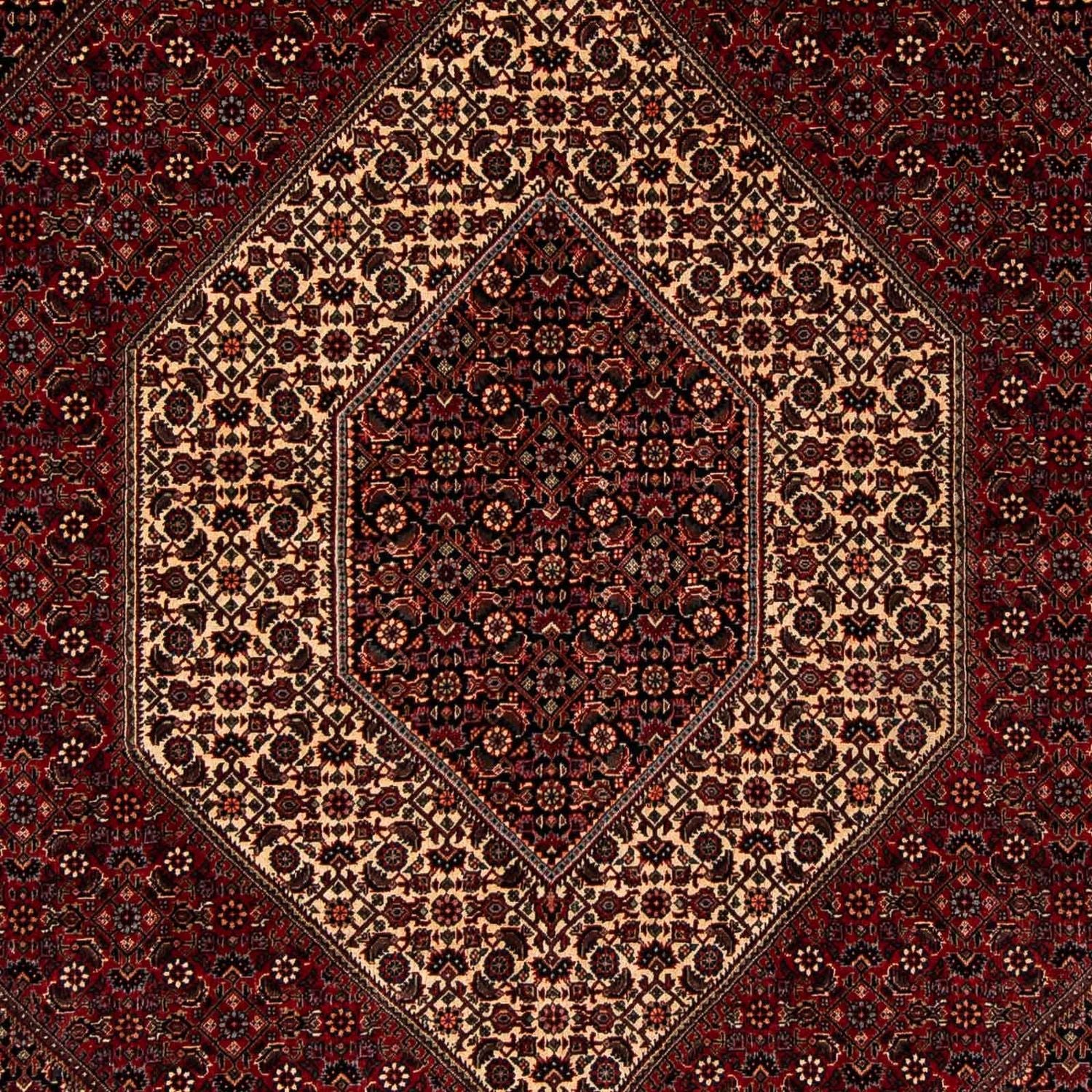 Persisk tæppe - Bijar - 255 x 202 cm - mørkerød