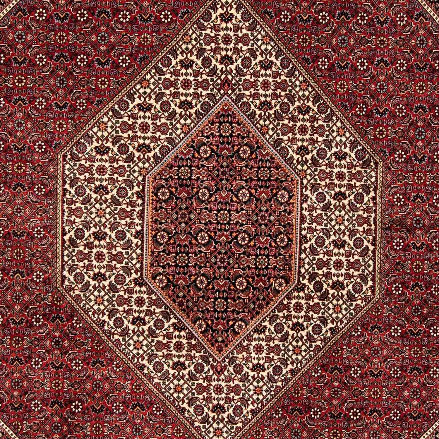 Persisk tæppe - Bijar - 252 x 205 cm - mørkerød