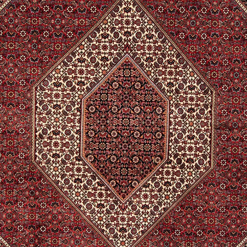 Persisk tæppe - Bijar - 252 x 205 cm - mørkerød