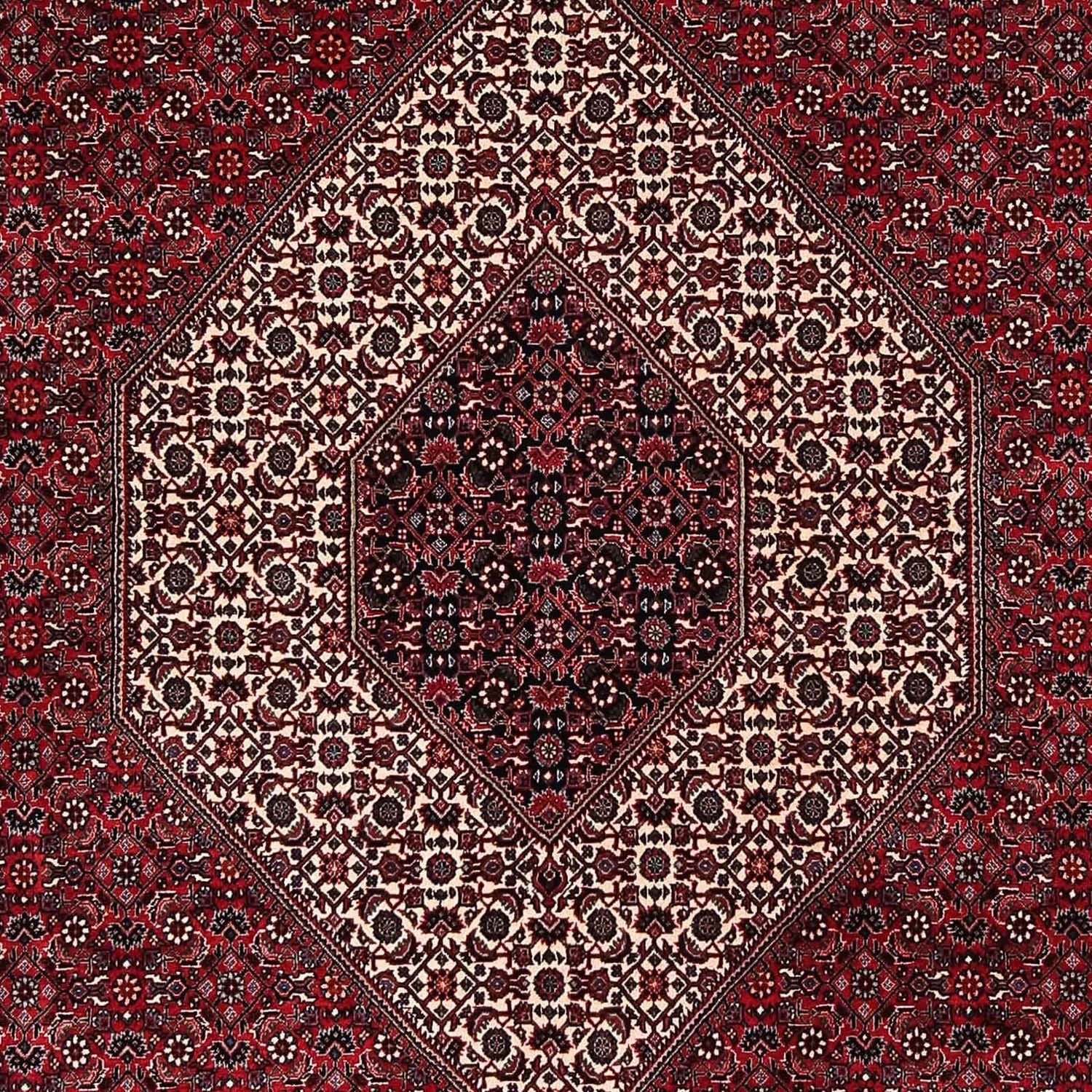 Persisk tæppe - Bijar - 252 x 203 cm - mørkerød