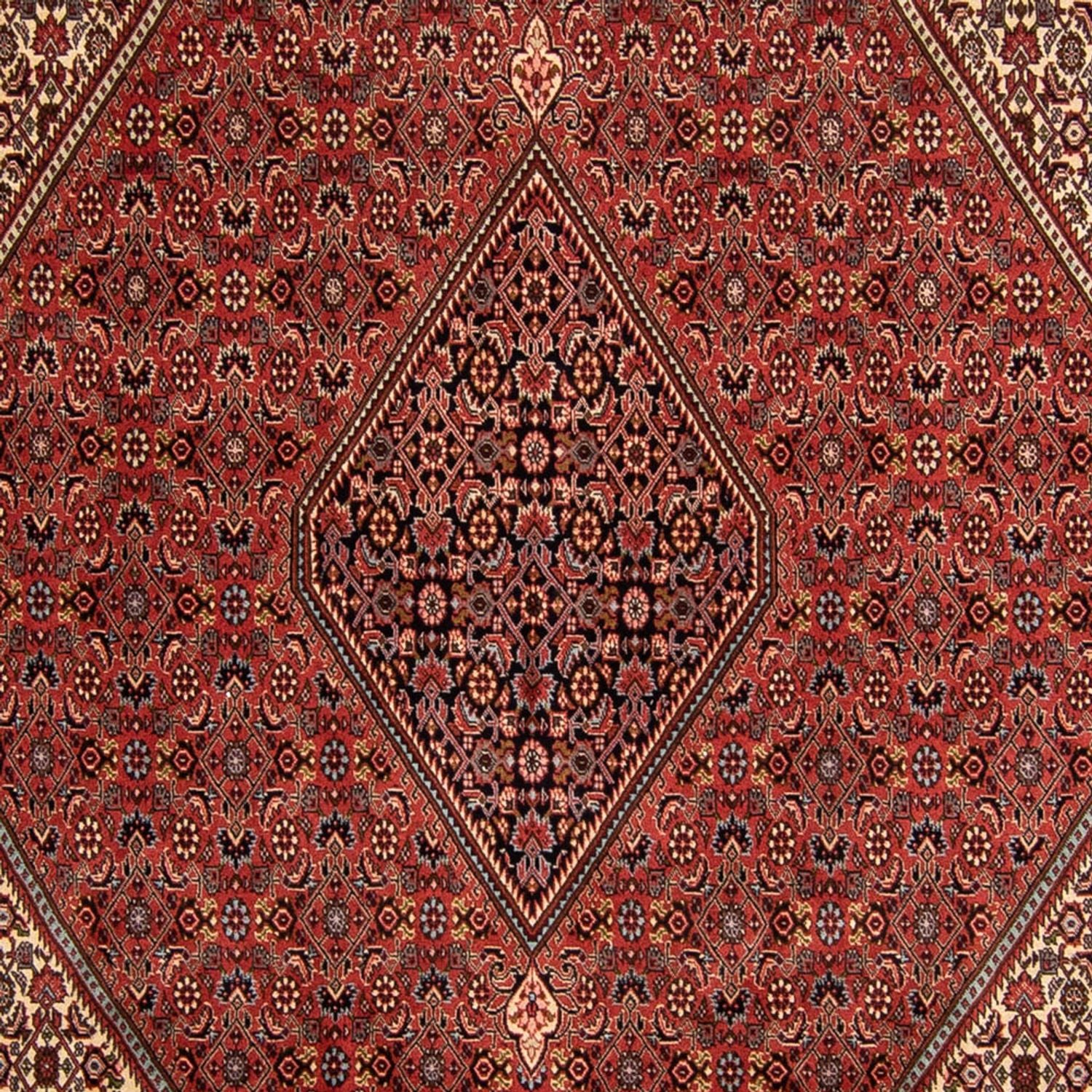 Persisk tæppe - Bijar - 343 x 250 cm - mørkerød