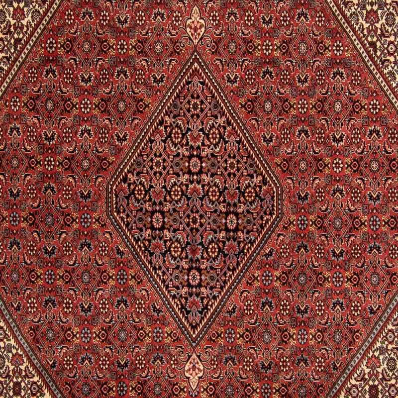 Persisk tæppe - Bijar - 343 x 250 cm - mørkerød