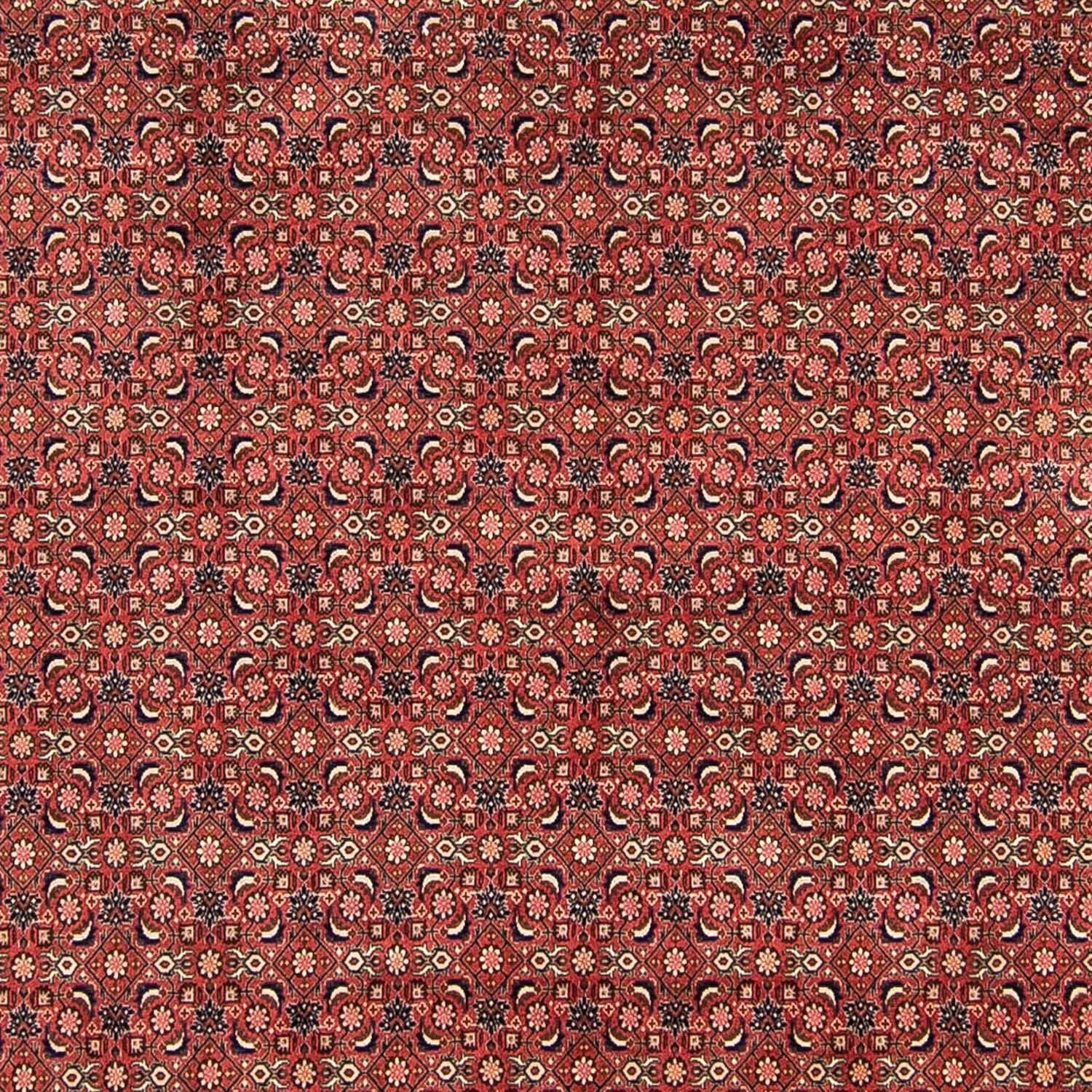Persisk tæppe - Bijar - 316 x 252 cm - rød
